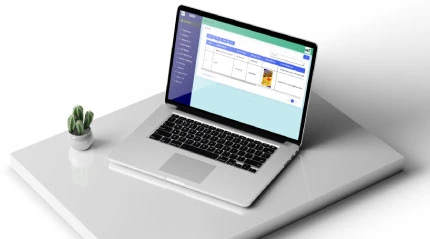 custom software development company in hyderabad